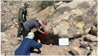 Pensaron que habían vandalizado un sitio histórico pero eran antiguos petroglifos