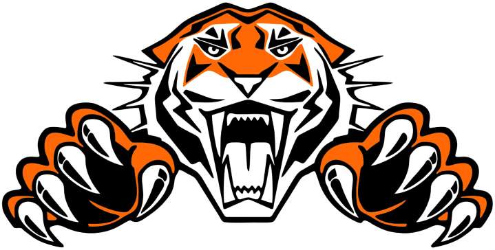 High School Football: Tigers score victory over Nevis