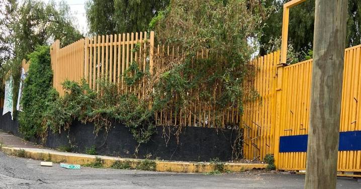 Alerta Redim 'falta de políticas de salud mental' tras apuñalamiento en CCH Sur