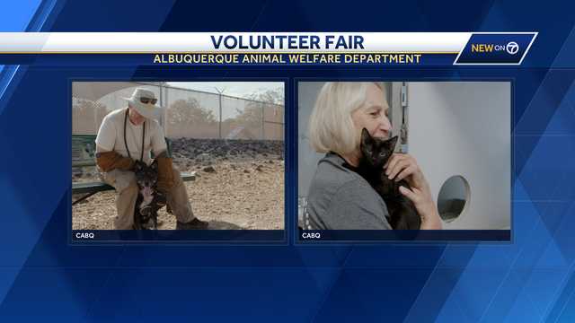 Animal Welfare Department hosts volunteer fair