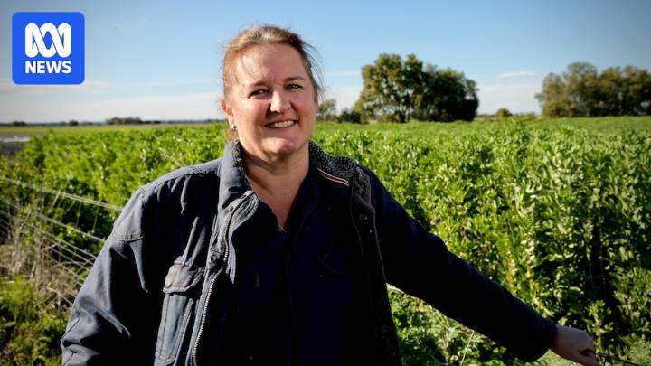 Even without Trump's tariffs, Australian farmers are losing out on billions of dollars