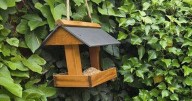 I've found the easiest way to get rid of pigeons from my garden