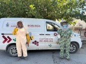 Retira Ecología panal de abejas en vivienda y pide reportar enjambres sin destruirlos