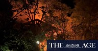 Rescue crews searching for a 70-year-old woman after a housefire on Sydney’s northern beaches