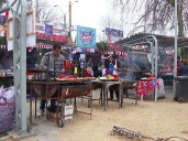 ¡Se adelantaron las Fiestas Patrias en la comuna de Penco!