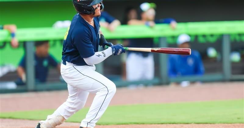 Fireflies fall in final game of Carolina League Championship Series