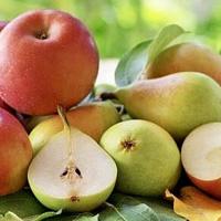 Kiwanis Fruit Sale underway