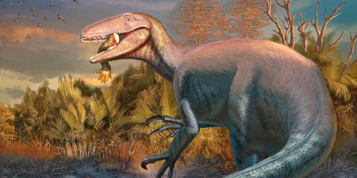 Hallan a un gran dinosaurio en la Patagonia: vivió hace 70 millones de años y tenía un hueso de cocodrilo en la mandíbula