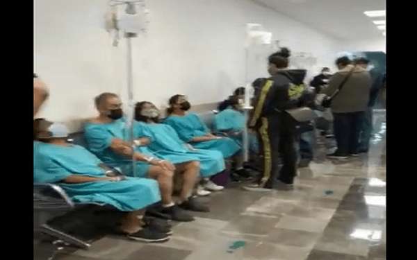 Debemos exigir medicinas antes que pensar en la eutanasia: Daniela Álvarez