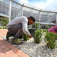 Leo XIV inaugurates eco training centre near Rome