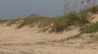 Cameron County approves dune restoration collaboration with Starbase for Boca Chica Beach