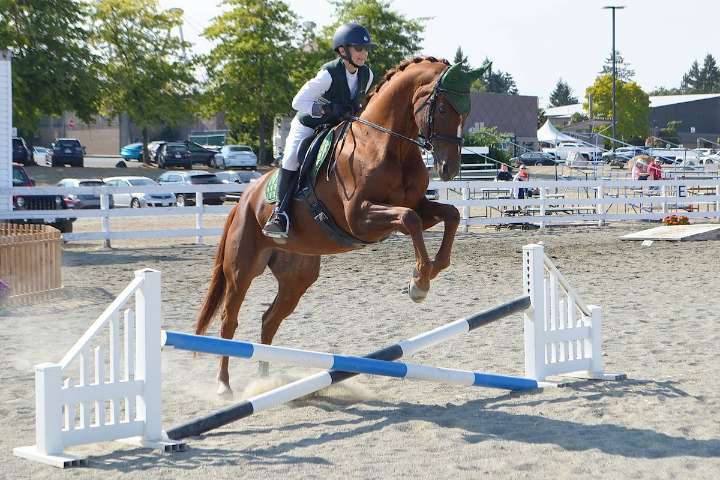 Riders and horses combine for team spirit at 55-Plus B.C. Games in Nanaimo