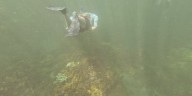 ‘Floating workshop’ on Maui highlights coral reef health, land impacts