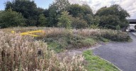 Woman raped in 'brutal racist attack' in broad daylight on busy road