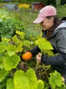 Garden talk: Western Mass gardener, educator shares pumpkin growing tips