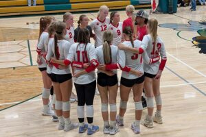 Madison sweeps Bees aside behind balanced bombardment