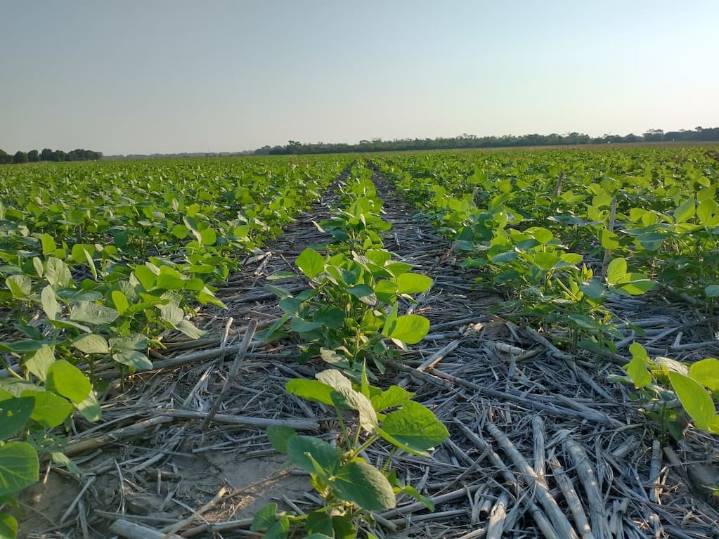 Los productores agropecuarios celebran su día: tres historias que destacan los roles sustentables