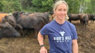 This N.B. farmer's got beef that she can't ship to customers who want it