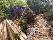 Minec incautó lote de madera obtenida de forma ilegal en Mérida