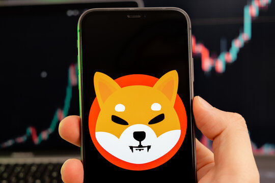 Shiba Inu Bulls Are Back: Here’s The 512 Billion SHIB Accumulation That Triggered A Spark