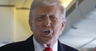 Antifa | Donald Trump designa como organización terrorista al movimiento antifascista en Estados Unidos 