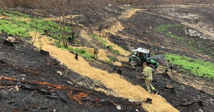 Un despliegue de 700 voluntarios en Ourense para prevenir posibles arrastres