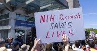 Maria Glymour: I'm against medical research cuts. We need those answers for our health