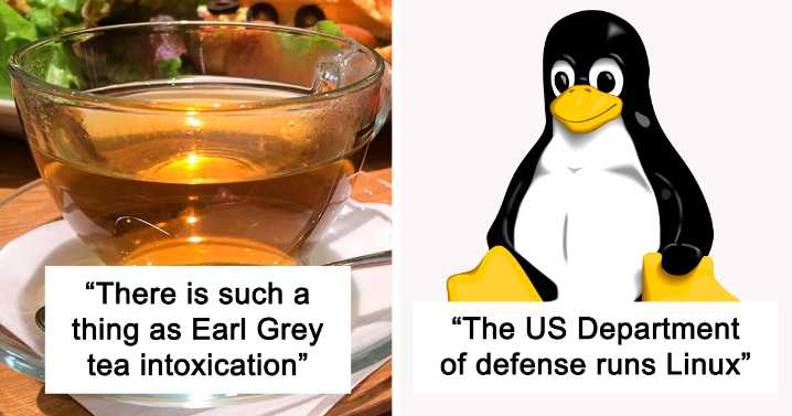 47 Interesting Things People Didn’t Learn At School And Decided To Share Them In This Online Group