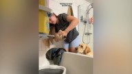Un amor a distancia: la pena de un perro al separarse de su juguete favorito mientras se lavaba