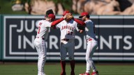 Travis d'Arnaud's RBI double in eighth inning lifts Angels to 4