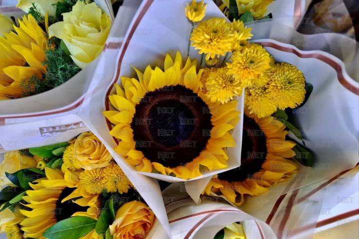 Flores amarillas pintan los cruceros de Juárez