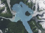 Retreating Alsek Glacier reveals new island in southeast Alaska