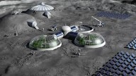 Nasa reveals plan for entire VILLAGE on Moon that's 'not just an outpost' as exact timeline for lunar colony revealed