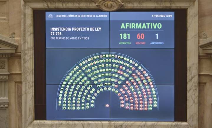 Contundente rechazo a los vetos de Milei: Diputados ratificó el financiamiento del Garrahan y las universidades