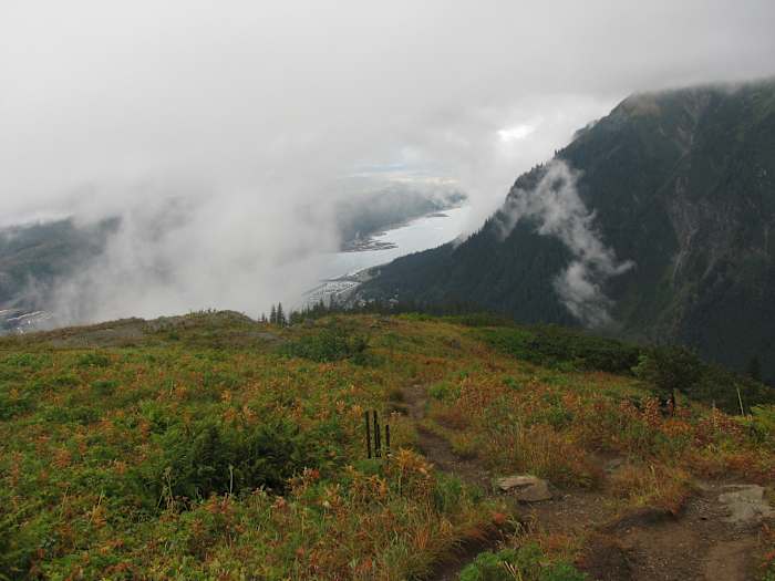 Texas man dies while on Alaskan cruise after falling from a trail during a hike, authorities say