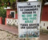 YUCATÁN | Analizan reubicación de granja porcina clausurada en Santa María Chi