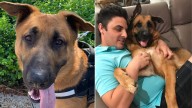 Florida Rescue Dog Quickly Bonds With New Dad, Ignoring Everyone Else In The Family