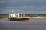 El Gobierno habilitó un plazo de 360 días para las exportaciones registradas antes del régimen de retenciones cero