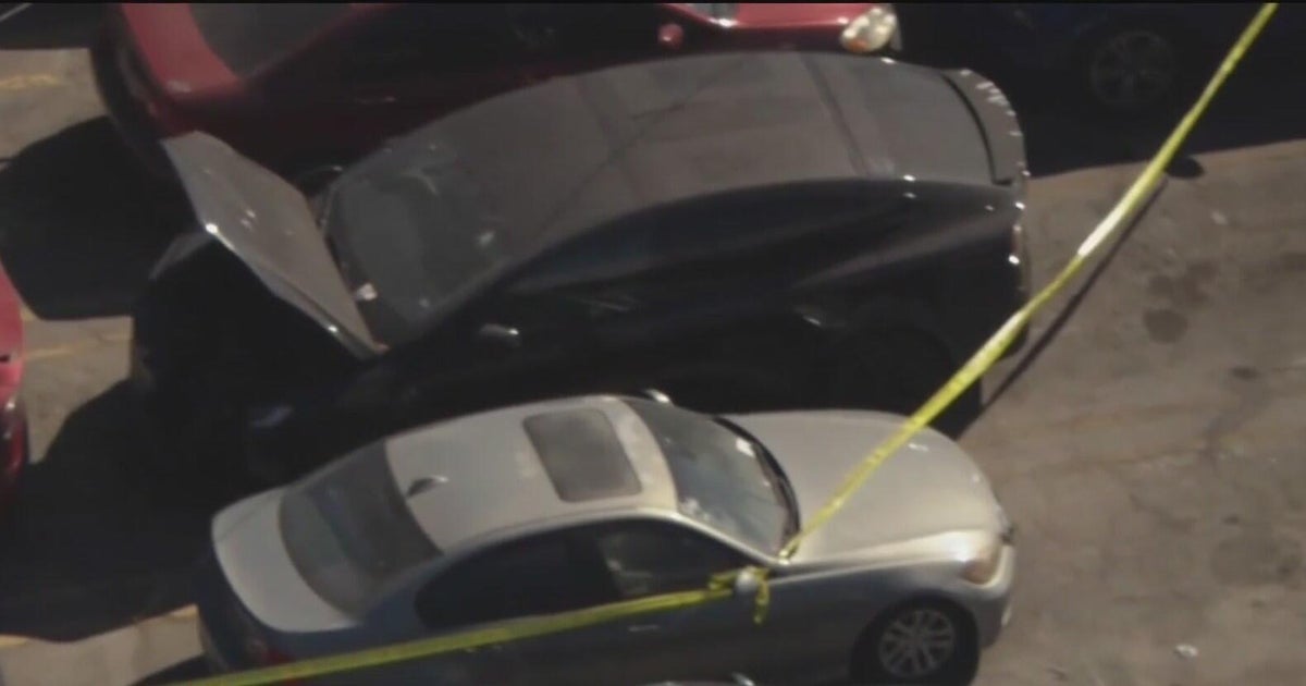 Body found in singer D4vd's Tesla identified as teenage girl, authorities say