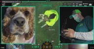 The search for Samson: How a thermal drone pilot reunited a lost dog with his owner