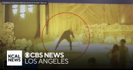 Suspects arrested for alleged $60k wedding heist in Glendale
