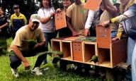 Liberan especies silvestres en el Waraira Repano como parte de programa de conservación