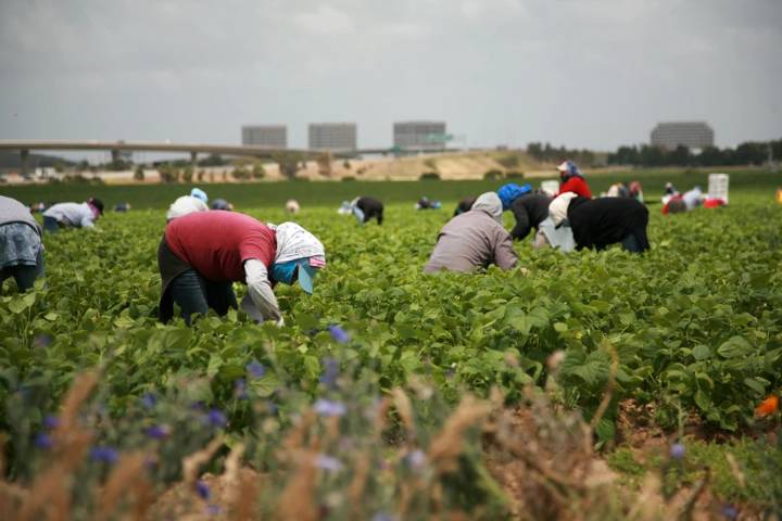 The Catholic Church has a lot to say about Labor Day