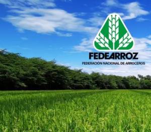 Fedearroz celebra 75 años de vida institucional y de servicio al País