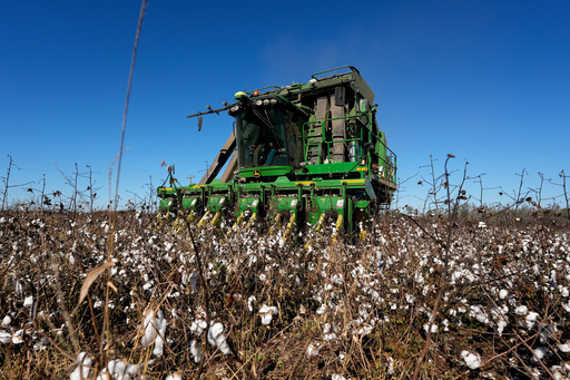 Georgia farmers will get $531M in Hurricane Helene aid, but the deal's not done yet
