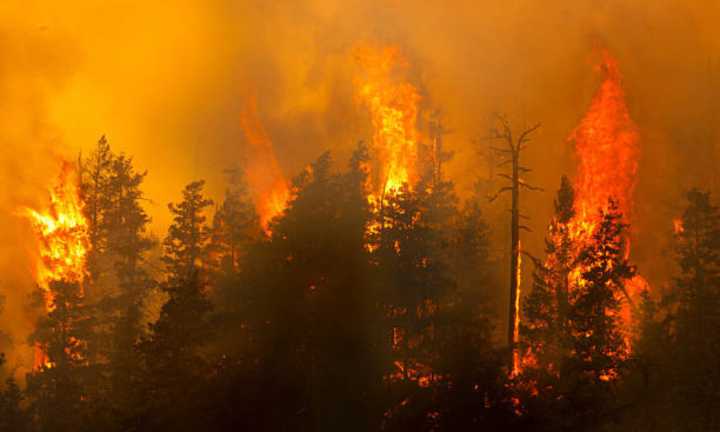 Wildfire evacuation alerts lifted in some parts of Cariboo region