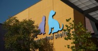 DDPHE proposes $217,000 in cuts to Denver Animal Protection amid city's budget shortfall