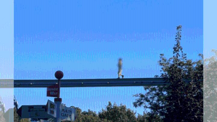 'Hersheypark Hero' speaks out after saving boy from monorail track