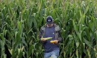 GOP senator from deep-red state admits farmers are 'very upset' by Trump’s policies
