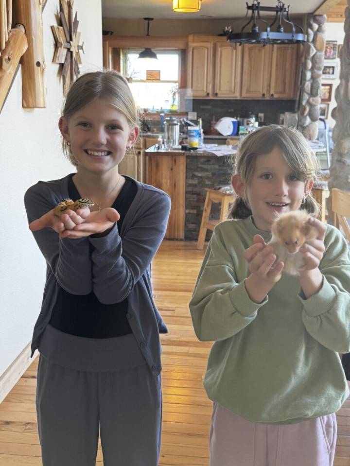 Veeder: Still hoping for the best amid hamster drama